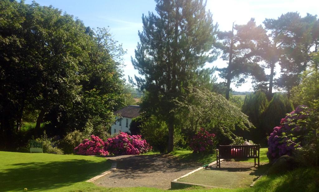 فيشجارد Priskilly Forest Country House الغرفة الصورة