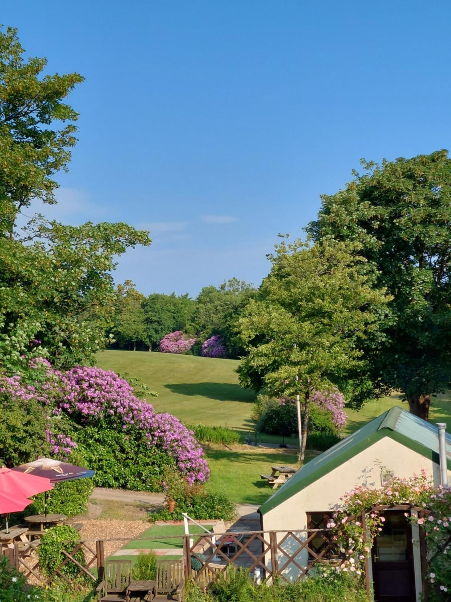 فيشجارد Priskilly Forest Country House المظهر الخارجي الصورة